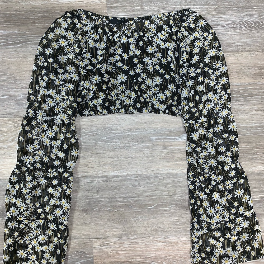 Sunflower crop
